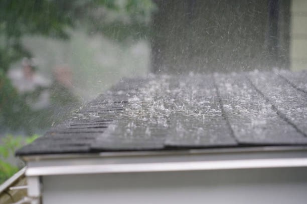Best Skylight Installation and Repair  in Mack, OH