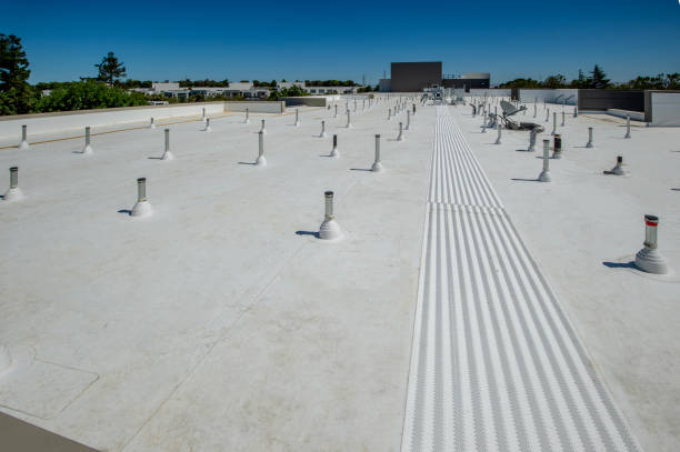 Best Asphalt Shingles Roofing  in Mack, OH